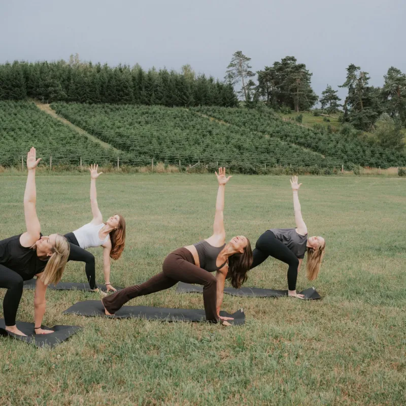 Vier Frauen in einer Yoga-Seitstütz-Position auf einer Wiese